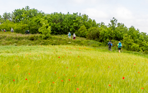 Fin de la montée au point 325m