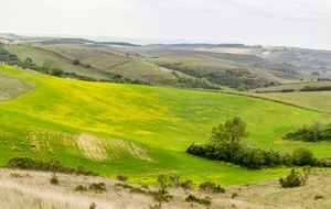 Vue sur La Bruyère Noire