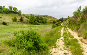 Vue arrière sur La Bruyère Noire