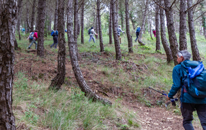 Grimpette au milieu des pins sur Pech Redon