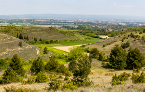  Vue sur la Plaine de l'Amiral et le Lauragais au second plan à partir du  Pech des Carmes 