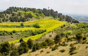Belle vue sur Pique Mil à partir du Pech des Carmes