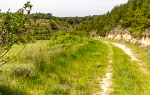 Montée au point 265m au dessus de la Plaine de l'Amiral