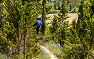 Montée du Pech des Demoiselles