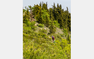 Montée du Pech des Demoiselles