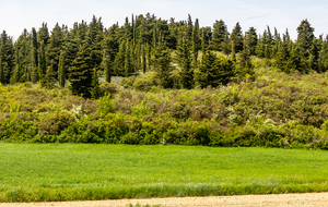  Vue sur le Pech des Demoiselles