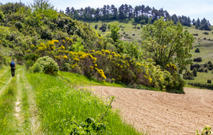 Dernière montée sur le site Clément Ader