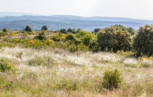 Panorama sur la vallée du Calavon (affluent de la Durance)