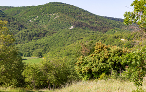 La chapelle Saint Pierre en plein milieu du Massif du Grand Lubéron au dessus d'Auribeau