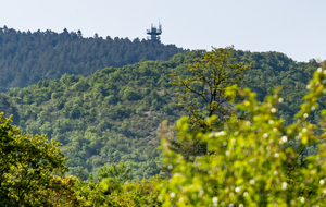 Mourre Négre et sa tour de Communication en vue !!