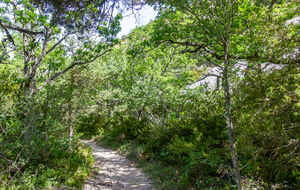 Montée de la Femme Morte 