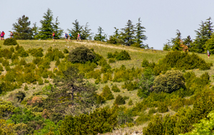 Arrivée du groupe des   grimpeurs   aux  Estrugets (992 m) vue  de l’Amourralhadou