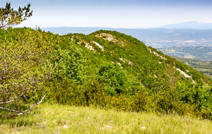 Toujours le Ventoux au loin