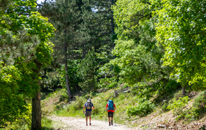 Derniers efforts de montée pour atteindre le Mourre Négre