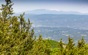 Vue direction nord avec le Ventoux au loin
