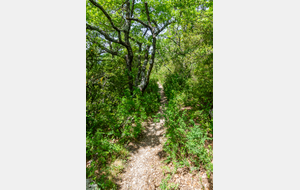 Descente devenant de plus en plus raide avec de nombreux cailloux fuyant sous les pieds 