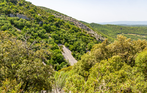Vallon de la Font Jean de Martin