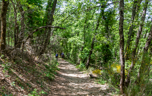 Fin de la descente, Auribeau en approche
