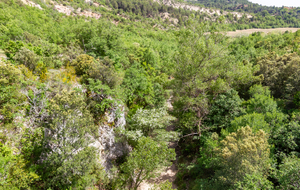 Vue (aval) du Pont de La Blaque sur la fin des gorges 