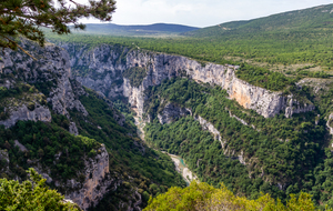 Les gorges du Verdon vues du Chalet de La Maline (898 m)