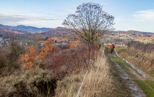 Descente vers Laroque d'Olmes 