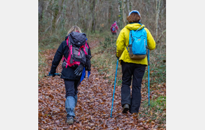 Montée  dans le Bois du Burgaud