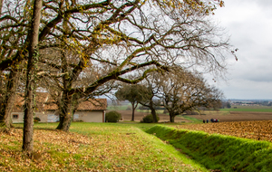 Retour au village en passant par  Delmas