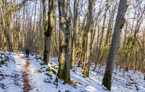 Longue descente vers Bac d'en bas