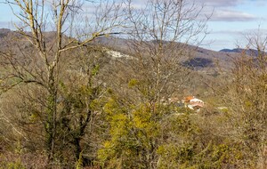 Ilhat derrière les arbres