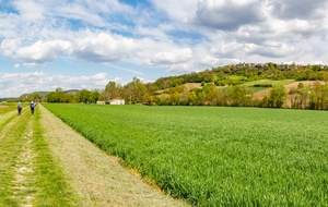 Ancienne voie ferrée au pied de Lauzerte