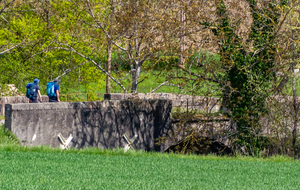 Pont sur la Petite Barguelonne 