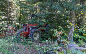 Curiosité au Fangas dans la Forêt Domaniale de la Loubatière 