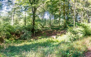 Le Bombadou dans la Forêt Domaniale de la Loubatière 