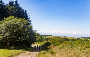 Lacal à la sortie de la Forêt Domaniale de la Loubatière 