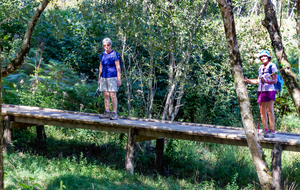 Petit pont de bois sur la rive du lac