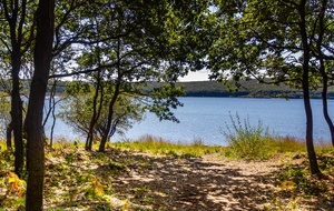 Le Lac vu de  la forêt de la Clergue 