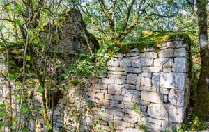 Ruines sur  le GR46 – GRP  Cabalière 