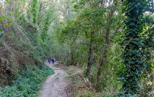 Descente bien pentue (qu’il faudra remonter !!) vers Les Costes 