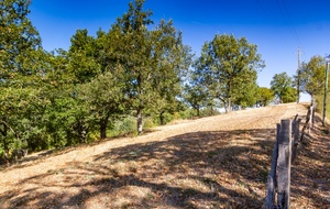 Au bord du chemin de Courbières 