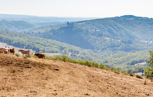 A la sortie de la Loubière vue sur la Forteresse Royale de Najac