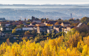 Vue sur le village de Cagnac les Mines et en arrière plan la silhouette imposante de la cathédrale Sainte Cécile d'Albi