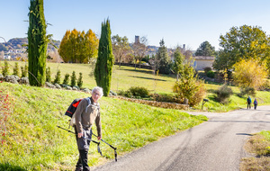 Chemin des Boulbènes: vue sur Montcuq, sa Tour et le clocher de l'église Saint Hilaire 