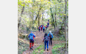 Après Couvignac vers Blancassier