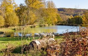 GR65 (Chemin de St Jacques) avec étang et parc