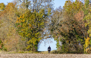  Après la propriété du Château de Charry:  I'am a lonesome hiker 