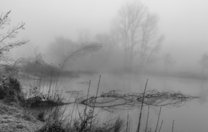 Etang dans atmosphère lugubre après Boué