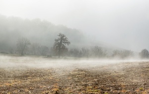 Après le Moulin de Lesquère, le brouillard se dissipe  et le paysage se devine