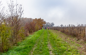  Avant la traversée de la D7 