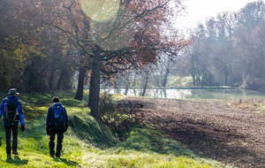 Etang après Comarens