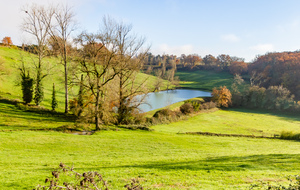 Etang près de La Mouline